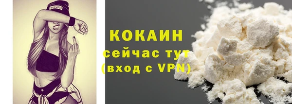 винт Богданович