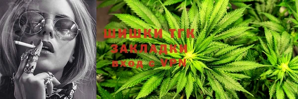 винт Богданович