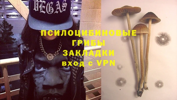ALPHA PVP Богородицк