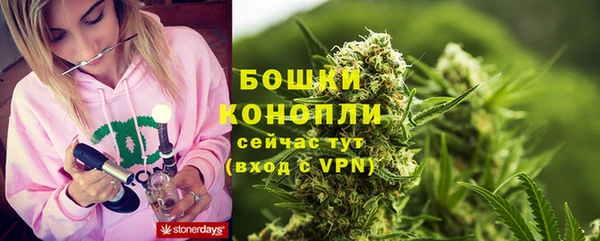 ALPHA PVP Богородицк