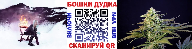 kraken как найти наркотики Прокопьевск Бошки Шишки Amnesia